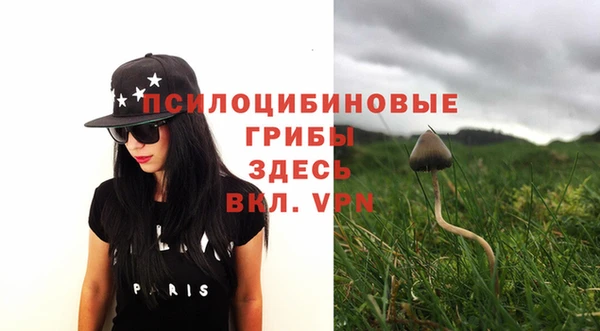 мдпв Алзамай