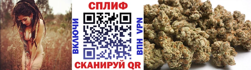 закладки  Салават  Бошки Шишки VHQ 